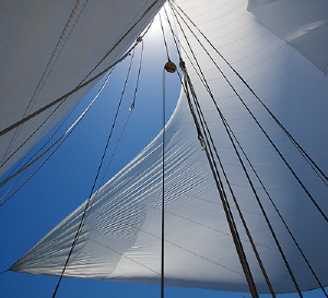Langley Photography