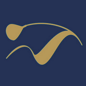 Mike Fay Golf Academy - Logo