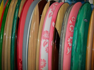 Rockin Fig's Surf Headquarters