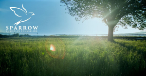 Sparrow Christian Counseling - Logo