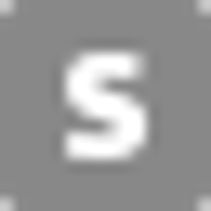 Southwest Stucco - Logo