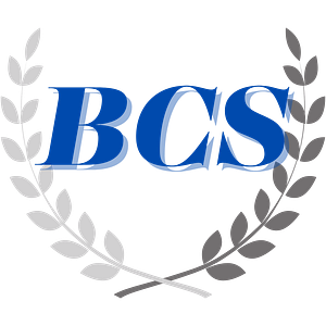 Best Cleaning Solutions - Logo