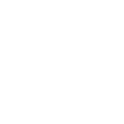 Peter & Sons Construction