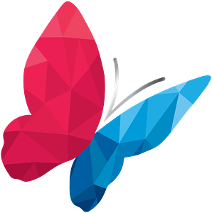 Connect to Joy, LLC - Logo