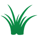 Benson Lawn Maintenance - Logo