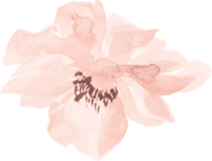 Heather Sherrill Photography - Logo