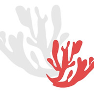 Makai Fitness - Pilates, Yoga, Wellness - Logo