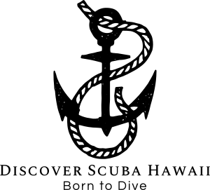 Discover Scuba Hawaii - Logo