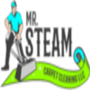 Mr. Steam Carpet Cleaning LLC
