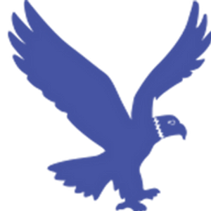 Eagle Valley Clean n Care - Logo