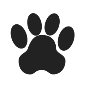 The Wag Social - Logo