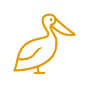 Pelican Pools - Logo