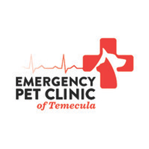 EPIC Vets - Logo