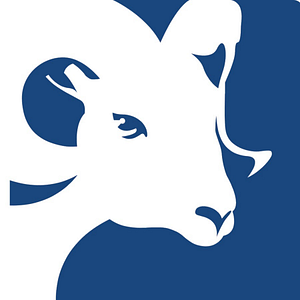 RAM Windows & Doors - Logo
