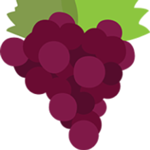 My Napa Valley Driver - Logo