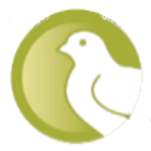 Hands on Healing - Logo