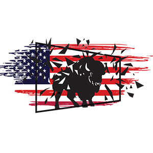 Buffalo Glass Co Inc - Logo