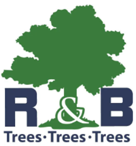 R&B Trees