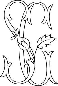 Shea Gibson Photography