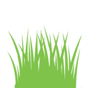 Mr. Lawn - Logo