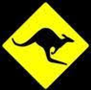 Roo's Auto Glass, LLC - Logo