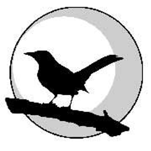 Mockingbird Moon LLC