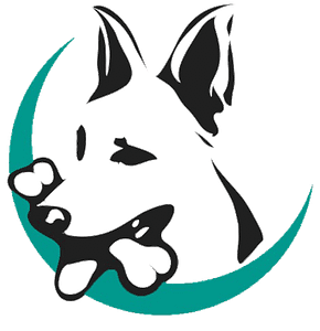 Dream Come True K9 - Logo