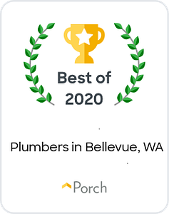Ridgid Plumbing and Drain Services