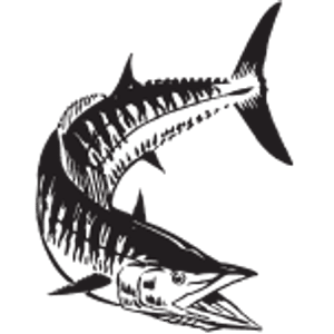 Sea Leveler
