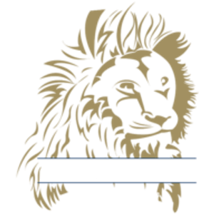SkinStim - Logo