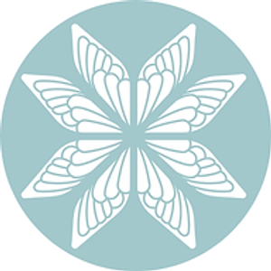 Cicada Connection
