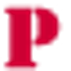 Pro Custom Painters - Logo