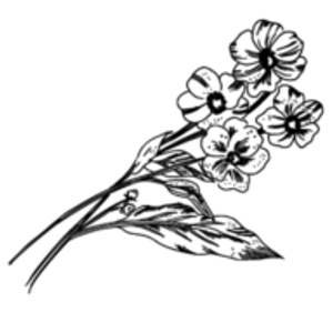 Touch of Euphoria - Logo