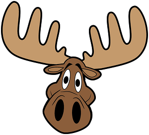 Moose Paddleboard Company