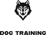 Loki KC Dog Training