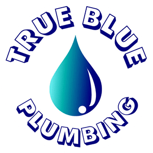 True Blue Plumbing