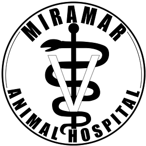 Miramar Animal Hospital