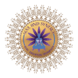 Soul and Synergy Reiki