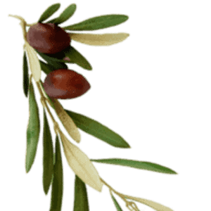 Private Chef Lydia Gaitan - Logo