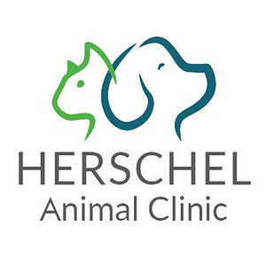 River City Veterinary Hospital - Logo