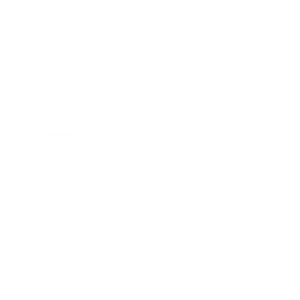 Rooterguy llc