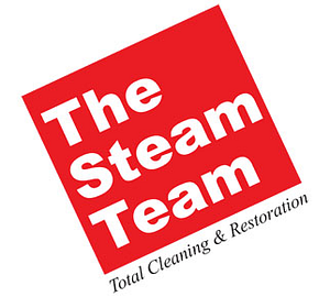 The Steam Team - Logo