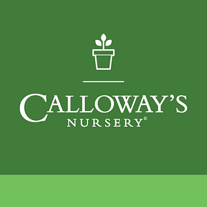 Calloway's Nursery - Logo