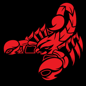 Hail Stinger Inc - Logo