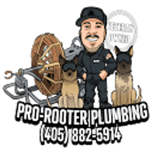 Pro-Rooter Plumbing & Drain Services