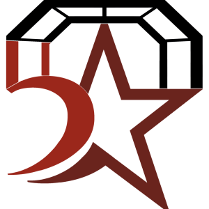 5 Stars Screen & Pool Cage Painting - Logo