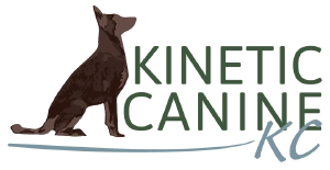 Kinetic Canine KC - Logo