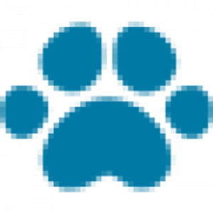 Riverside Animal Hospital - Logo