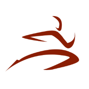 Premier Physical Therapy and Sports Performance - Cape Henlopen - Logo