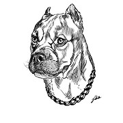 King K-9 Training - Logo